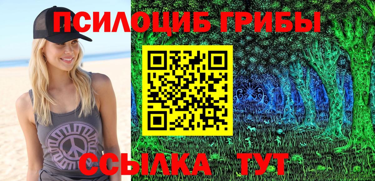 Псилоцибиновые грибы Cubensis  Псилоцибиновые грибы MAGIC MUSHROOMS  Вход с VPN  Усолье-Сибирское 